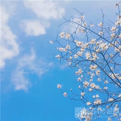 bat·365(中国)在线登录入口