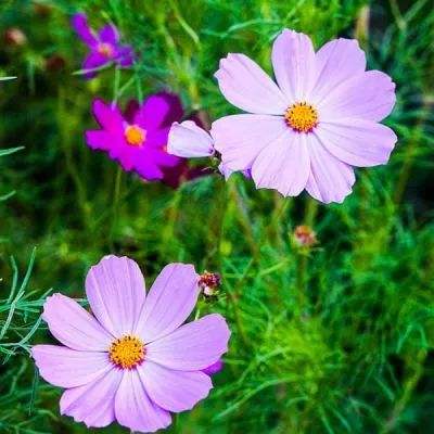 澳门银银河官方网welcome